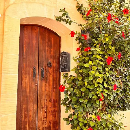 Tatil Evi Carpe Diem